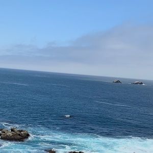 Meet your Posher, Graciela